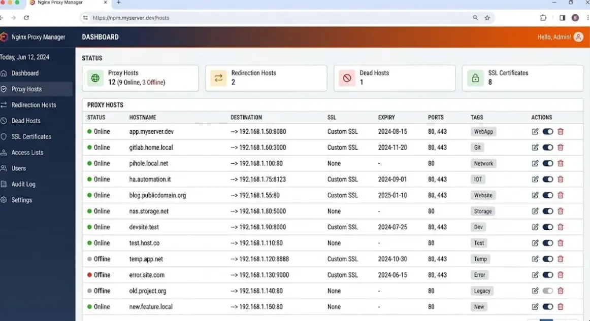 Captura del panel de Nginx Proxy Manager con varios proxy hosts configurados