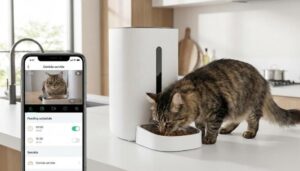 Mejores Comederos y Fuentes WiFi para Mascotas